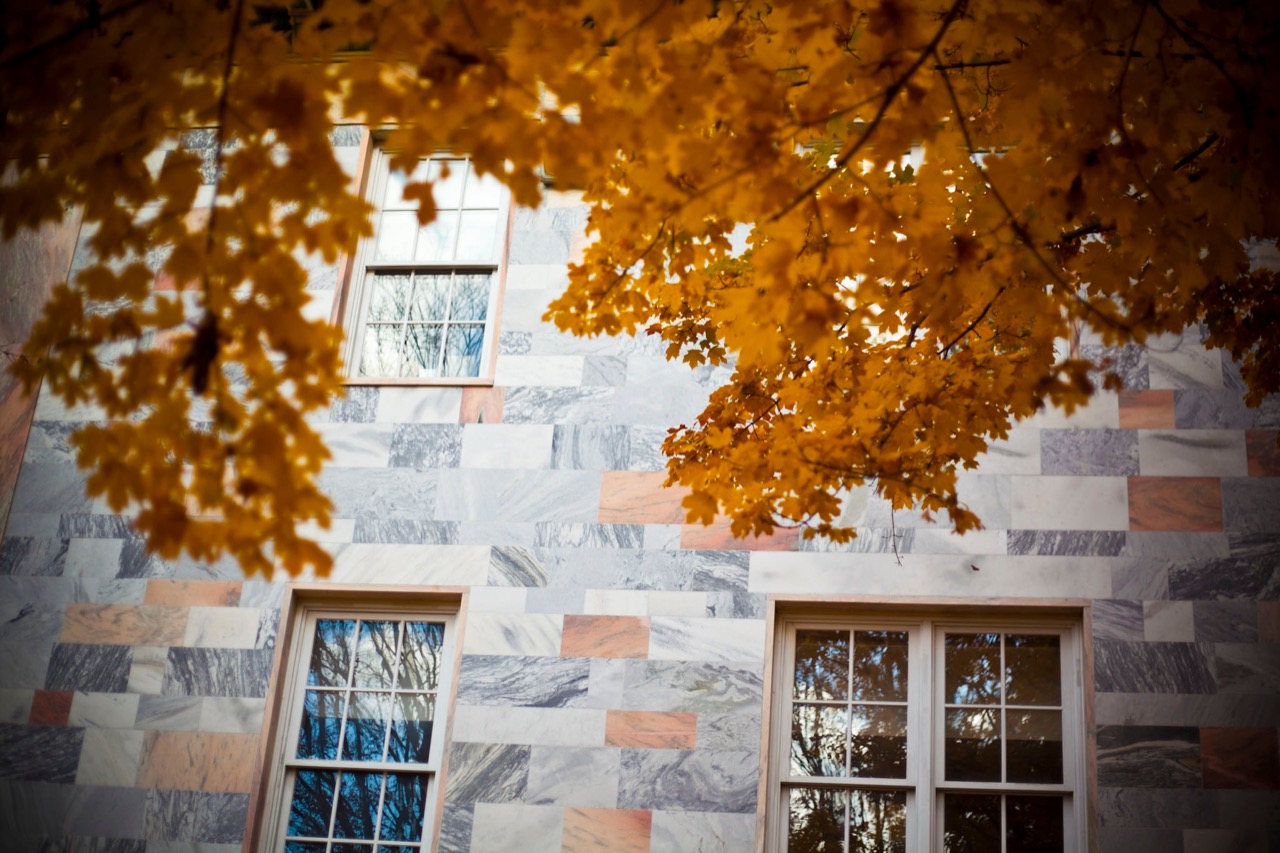 marble tiles on building with tree with orange fall leaves in front