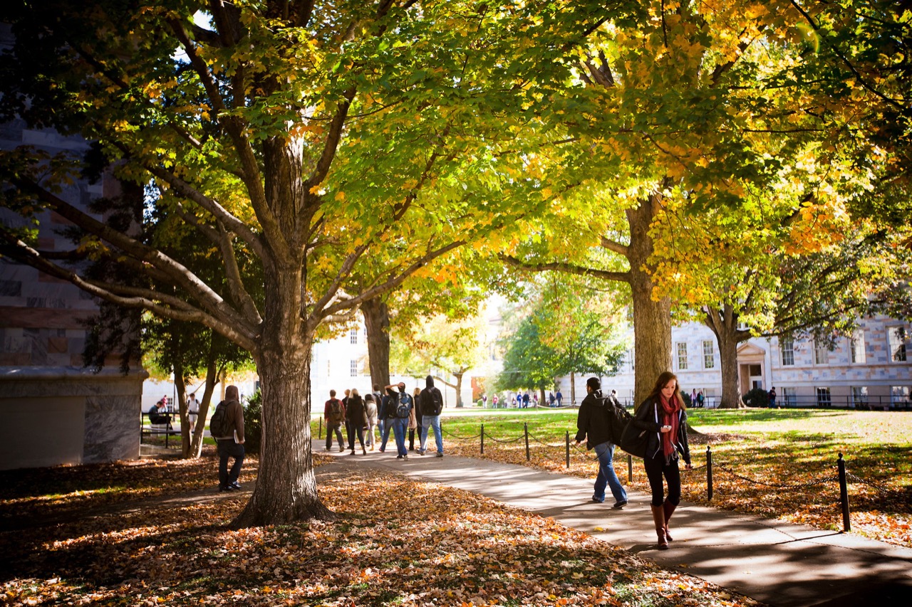 students walking through the quad between campus with fall leaves
