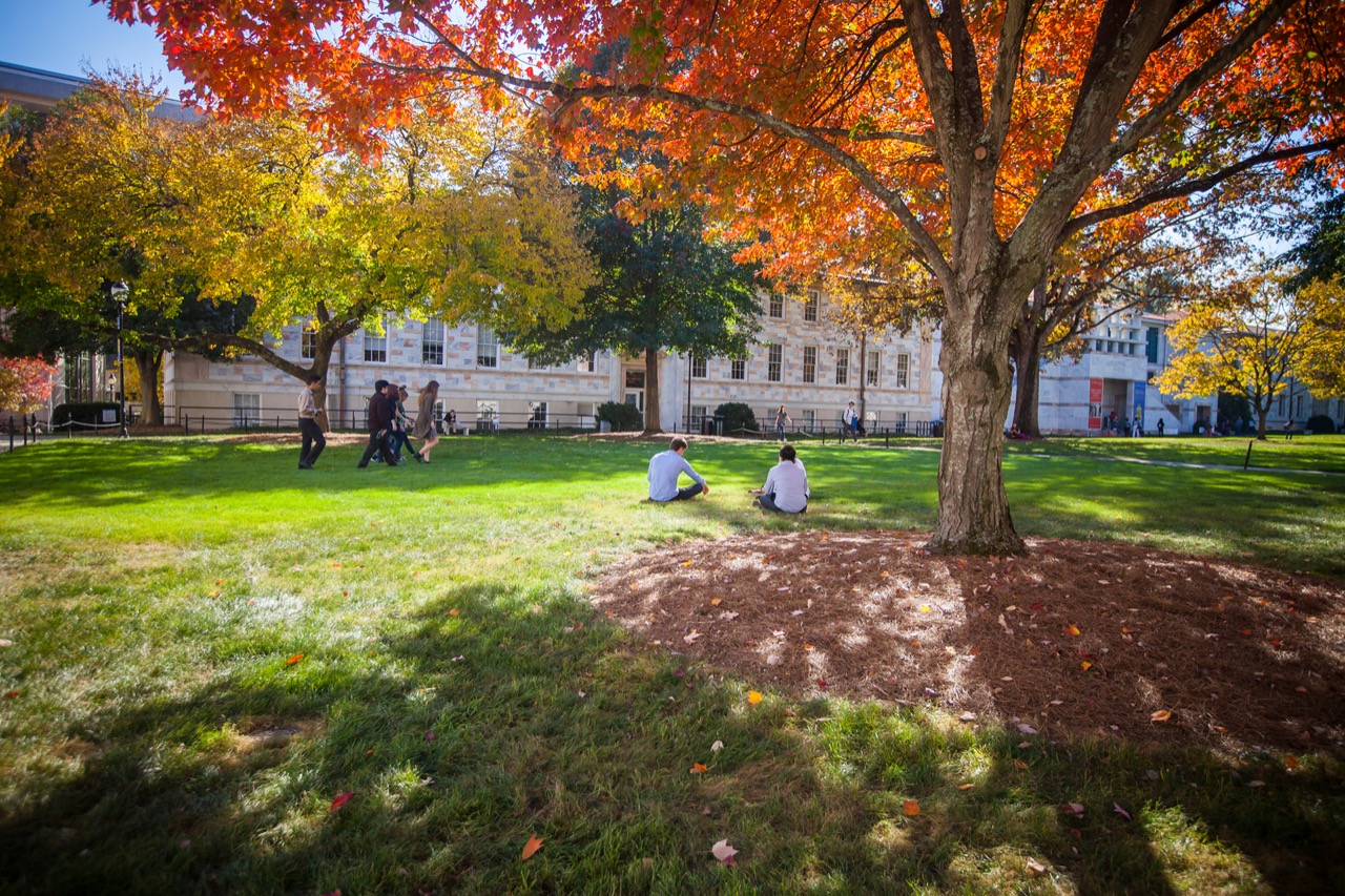 view of the quad with orange leaves in foreground